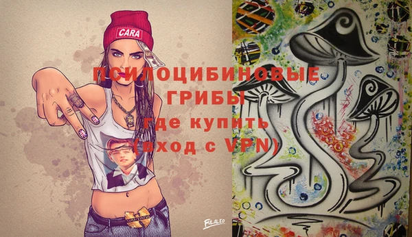 амф Алексин